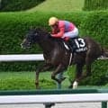 【JRA・WIN5】的中わずか3票！ 配当は1億7094万9730円！