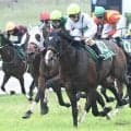 【しらさぎS結果】エルトンバローズが激戦を制す 約2年8か月ぶりの重賞3勝目