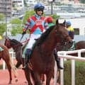 【しらさぎＳ】坂井瑠星騎手の６番人気キープカルムは半馬身差２着で連覇ならず　１年ぶり舞台で復調