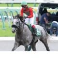 【府中牝馬Ｓ】コガネノソラは５着　宝塚記念のメイショウタバルに続く２週連続ゴルシ産駒の重賞勝ちはならず