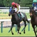【府中牝馬Ｓ】「夏休み」前のルメール騎手は現役最多４勝目ならず　１番人気のヴァルキリーバースは１４着
