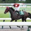 【府中牝馬Ｓ】横山典弘騎手が最速末脚を引き出した　９番人気のウイントワイライトが初めての千八で健闘２着