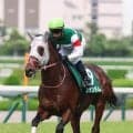 【しらさぎＳ】ファンダムは４着で復活の重賞２勝目ならず　デビューからコンビ組む北村宏司騎手と再タッグも…