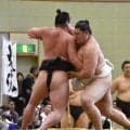 横綱・大の里が三段目力士と７番　左の攻めは「動いてきている。悪くはない」…茨城・大洗町で交流合宿