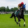 【府中牝馬S】伸びを欠いて完敗…1番人気ヴァルキリーバースは14着