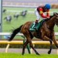 【府中牝馬S】セキトバイーストが鮮やか逃げ切りV…連覇達成で重賞2勝目