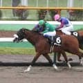 【函館１０Ｒ・檜山特別】単勝１・３倍の１番人気チャーリー快勝　奥村武調教師「相手がしぶとくてドキドキしました」