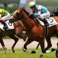【新馬/阪神5R】インディチャンプ産駒トップチェッカーがデビューV