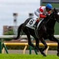 【東京6R】4億円ホース・ダノンアスコルティが待望の初勝利