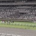 「涙止まらん」競走馬時代から活躍の“イケメン細マッチョ”誘導馬が引退 首元には“粋な飾り”も…ファン感謝と労いの声「ありがとう」