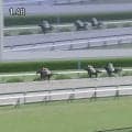 「遅れてきた怪物」3歳素質馬が“末脚爆発”7馬身差の圧勝デビュー…インパクト大のレースにファン興奮「突き抜けすぎ」