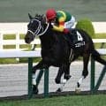 函館記念とラジオNIKKEI賞の2重賞/今週の競馬界の見どころ