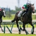【ラジオNIKKEI賞登録馬】ローベルクランツなど20頭