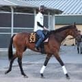 【ラジオＮＩＫＫＥＩ賞・浅子の特注馬】葉牡丹賞レコードＶのサノノグレーター　きれいな跳びで開幕週の馬場は好条件