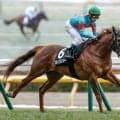 【ラジオNIKKEI賞見どころ】機動力で勝負するスカイスプレンダー