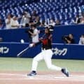 クラファン開始！“もうひとつのＷＢＣ”北九州で１１月開催　海外勢受け入れ費用に　第６回世界身体障害者野球大会