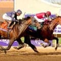 「日本のスーパースター」フォーエバーヤングの秋遠征に全米が歓喜　ＢＣ主催者「世界中の競馬ファンの心をつかんでいます」