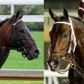 【スティーブンフォスターＳ】フォーエバーヤングのライバルが２８日朝激突　ドバイＷＣ覇者のマグニチュードＶＳ年度代表馬ソヴリンティ