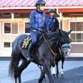 【ラジオＮＩＫＫＥＩ賞】宮田調教師「自分との戦い」　スペルーチェは初の１８００メートルがカギ