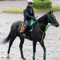 【ラジオＮＩＫＫＥＩ賞】斎藤誠調教師「控える競馬をしたい」　ジーネキングが重賞初制覇へ好気配
