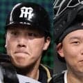 阪神　伏見＆嶋村の２捕手が登録抹消　伏見は前日２１日に高橋とバッテリー