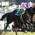 【先週のJRA抹消馬】重賞2勝サクラトゥジュール、芝マイル前後で活躍したロジリオンなど