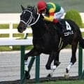 【函館記念想定騎手】エコロディノスは池添謙一騎手、マジックサンズは横山和生騎手