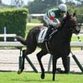 【ラジオNIKKEI賞想定騎手】ローベルクランツは松山弘平騎手、サウンドムーブは団野大成騎手