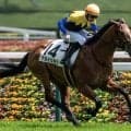 【ラジオNIKKEI賞】半兄は日本ダービー馬マカヒキ クカイリモクが意欲の参戦だ