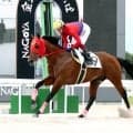 【名古屋競馬】今津博之調教師が地方通算１５００勝　５Ｒのポッドシャンクで決めた