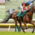 府中牝馬S連覇のセキトバイースト “非サンデー”だからこそのバテない強み
