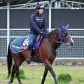 【ラジオＮＩＫＫＥＩ賞】小回りの福島開幕週は先行有利！脚質合い競馬センス良いディールメーカーが面白い