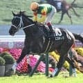 【函館記念展望】好走データを全て満たす4歳馬エコロディノスに注目