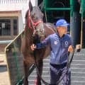 【函館記念】紅一点のケリフレッドアスクが侮れない　福島牝馬Ｓは５７キロで４着　陣営「５５キロなら悪くない」