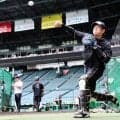 阪神が梅野隆太郎と浜田太貴を１軍登録　広島は中村奨成を登録　左膝内側側副じん帯損傷の辰見鴻之介を抹消