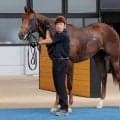 【注目馬動向】佐藤悠厩舎の新馬Ｖ　ノリヤンモーニンは函館２歳Ｓへ　ビスケットサンドは状態次第で中京２歳Ｓを目標