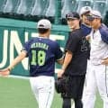 【阪神】浜田太貴「７番左翼」で１軍昇格即先発　ヤクルト山野太一打ち崩して４連勝へ／スタメン