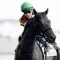 【函館記念予想オッズ】マジックサンズが予想1番人気