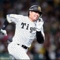 阪神・梅野　１４日ぶり１軍で即先発マスク　才木を６回無失点に導く好リード「腹をくくっている」