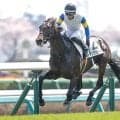 【ラジオNIKKEI賞展望】データが示す距離短縮と先行力で波乱を狙う