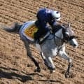 【注目馬動向】コガネノソラはクイーンＳを視野に　重賞初Ｖ飾った“縁起いい”レースで３つ目のタイトル狙う