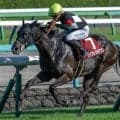 【函館記念】28年ぶりの牝馬Vなるか 紫苑S覇者のケリフレッドアスクが参戦だ