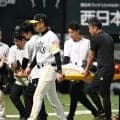 【ソフトバンク】顔面死球の石塚綜一郎は「下顎骨骨折」と診断　抹消へ