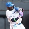【日本ハム】今季２度目の４発！！！！一気に突き放す　17号のレイエスは16試合連続安打
