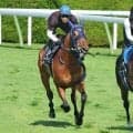 【函館記念】フィーリウスは絶好の動きで２頭併せ先着　丹内祐次騎手「重賞でもチャンスはあると思いますよ」