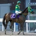 【さきたま杯】ウィルソンテソーロは追い上げ届かず２着　川田将雅騎手「勝たせてあげたいところでしたけど...」