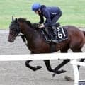 【ラジオＮＩＫＫＥＩ賞】ＮＨＫマイルＣ４着ローベルクランツはＤＰコースで軽快　小林調教師「我慢が利いて...」