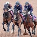 【ラジオＮＩＫＫＥＩ賞】ルージュボヤージュが３頭併せで鋭く伸びる　陣営「精神面の成長が見受けられる」