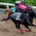 【ラジオＮＩＫＫＥＩ賞】松永幹調教師「小回りのコース形態はいい」と自信　バドリナートが福島で巻き返す