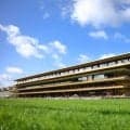 【凱旋門賞】セン馬の出走解禁へ前進…フランスギャロ理事会が承認